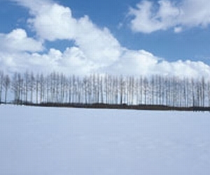 �ȒP�ɂ̓X�����ɂȂ�Ȃ�